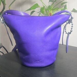 Coach Vibrant Purple Leather Crossbody Hobo Bag